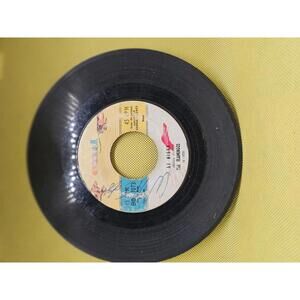 The Flamingos – At Night / Mio Amore, 45 RPM vinyl record [COPY]